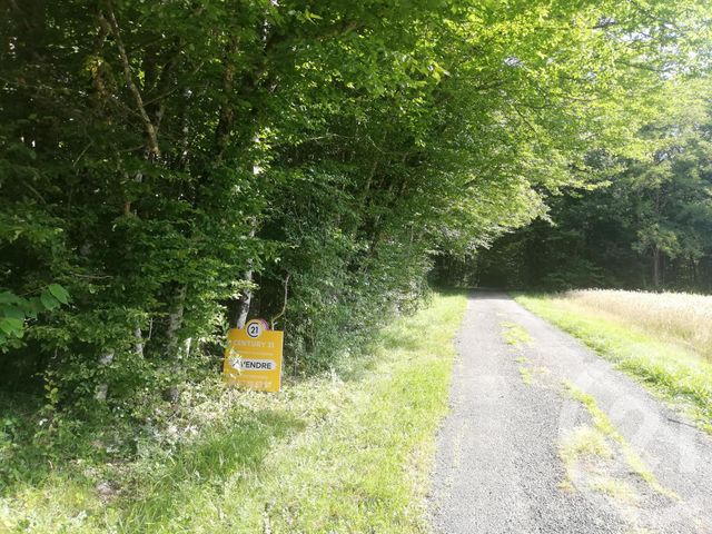 Afficher la photo en grand terrain à vendre - 1650.0 m2 - MONTREM - 24 - AQUITAINE - Century 21 Mazaudon Immobilier