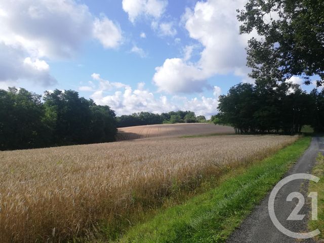 Afficher la photo en grand terrain à vendre - 1650.0 m2 - MONTREM - 24 - AQUITAINE - Century 21 Mazaudon Immobilier