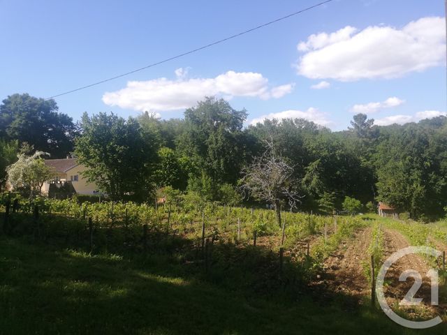 terrain - COULOUNIEIX CHAMIERS - 24