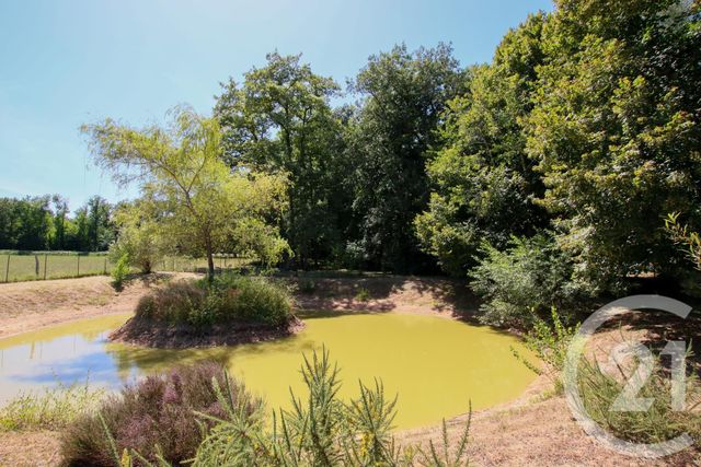 maison à vendre - 7 pièces - 183.23 m2 - LACROPTE - 24 - AQUITAINE - Century 21 Mazaudon Immobilier