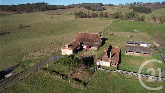 maison - PERIGUEUX - 24