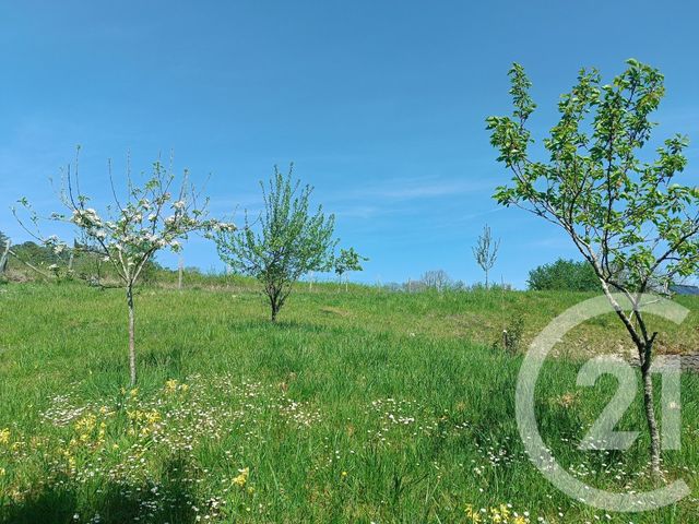 Afficher la photo en grand maison à vendre - 11 pièces - 295.22 m2 - PERIGUEUX - 24 - AQUITAINE - Century 21 Mazaudon Immobilier