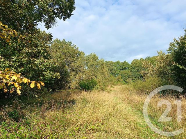 maison à vendre - 7 pièces - 154.88 m2 - CHAMPCEVINEL - 24 - AQUITAINE - Century 21 Mazaudon Immobilier