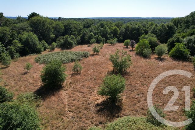 terrain à vendre - 1017.0 m2 - CHANCELADE - 24 - AQUITAINE - Century 21 Mazaudon Immobilier