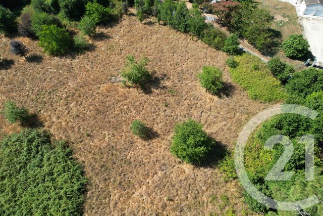 terrain à vendre - 1017.0 m2 - CHANCELADE - 24 - AQUITAINE - Century 21 Mazaudon Immobilier