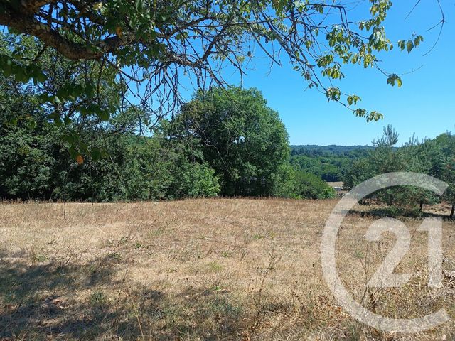 maison à vendre - 8 pièces - 298.0 m2 - SARLIAC SUR L ISLE - 24 - AQUITAINE - Century 21 Mazaudon Immobilier