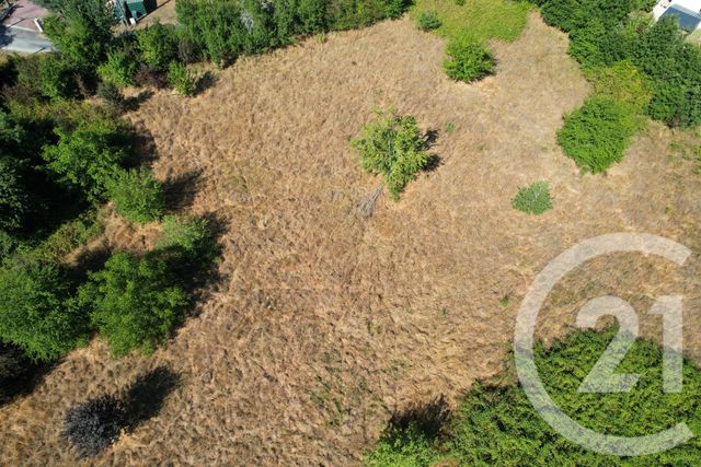 terrain à vendre - 1052.0 m2 - CHANCELADE - 24 - AQUITAINE - Century 21 Mazaudon Immobilier