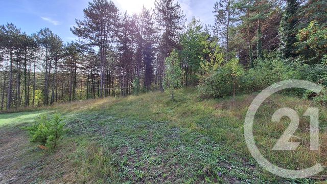 terrain à vendre - 1795.0 m2 - BASSILLAC ET AUBEROCHE - 24 - AQUITAINE - Century 21 Mazaudon Immobilier