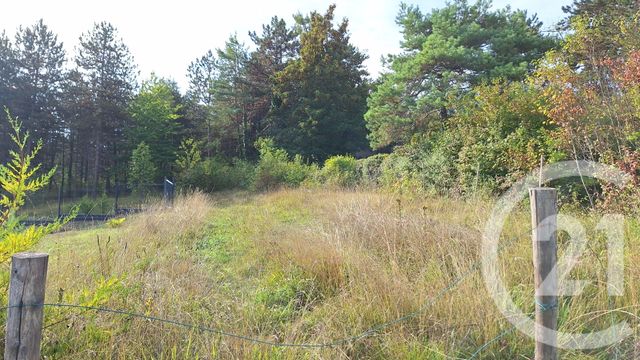 terrain à vendre - 1795.0 m2 - BASSILLAC ET AUBEROCHE - 24 - AQUITAINE - Century 21 Mazaudon Immobilier